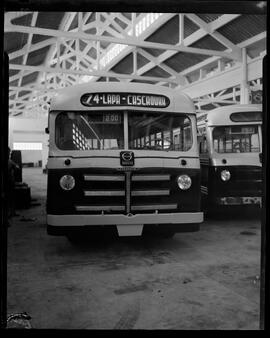 Fotografia "Cabras - publicidade" ([Local n/d] , [Data n/d]) [negativo]. / Fotógrafo(a): José Casal.  -- ITEM-0007.