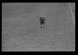 Fotografia "SWEEPSTAKE' Reportagem no Hip. Gávea, Grande Prêmio Brasil (Aprontos dos cavalos, 'Sing-Sing', 'Atramo', 'Cencerro' e 'Semillon' com vistas ao G.P. Brasil de 1963', Reportagem de Wilson Nascimento" ([Local n/d] , 1963) [negativo]. / Fotógrafo(a): Rodolpho.  -- ITEM-0017.