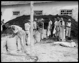 Fotografia "Reportagem sobre o sertão carioca - diversas vistas - agricultura" ([Local n/d] , [Data n/d]) [negativo]. / Fotógrafo(a): Oswaldo Matos.  -- ITEM-0004.