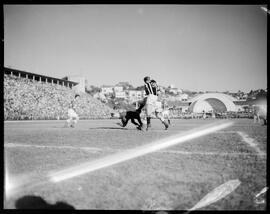 Fotografia "Esporte em São Paulo" ([Local n/d] , 1951) [negativo]. / Fotógrafo(a): Contursi.  -- ITEM-0012.