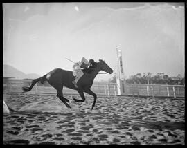 Fotografia "Esporte - Jockey" ([Local n/d] , [Data n/d]) [negativo]. / Fotógrafo(a): Ernani Contursi.  -- ITEM-0001.