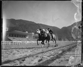 Fotografia "Jockey" ([Local n/d] , [Data n/d]) [negativo]. / Fotógrafo(a): Ernani Contursi.  -- ITEM-0006.