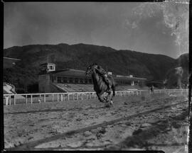 Fotografia "Jockey" ([Local n/d] , [Data n/d]) [negativo]. / Fotógrafo(a): Ernani Contursi.  -- ITEM-0005.