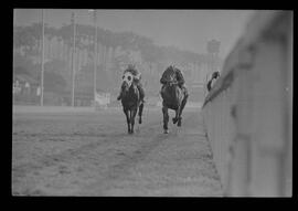 Fotografia "SWEEPSTAKE' Reportagem no Hip. Gávea, Grande Prêmio Brasil (Aprontos dos cavalos, 'Sing-Sing', 'Atramo', 'Cencerro' e 'Semillon' com vistas ao G.P. Brasil de 1963', Reportagem de Wilson Nascimento" ([Local n/d] , 1963) [negativo]. / Fotógrafo(a): Rodolpho.  -- ITEM-0014.