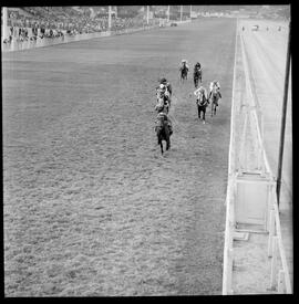 Fotografia "2 GRANDE PRÊMIO 'DOUTOR FRONTIN' TURF (Vendedor o cavalo 'Atramo' pilotado pelo jouqie [jóquei] Manoel Silva)" ([Local n/d] , 1963) [negativo]. / Fotógrafo(a): Alvaro.  -- ITEM-0006.