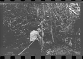 Fotografia "DESAPARECIMENTO DO MÉDICO NO PICO DE PAPAGAIO Família perdida na mata (Dr. Newto Batista dos Santos, que estava desaparecido com seus filhos Caio Cesar e Lia Lucia no Pico de Papagaio)" ([Local n/d] , 1963) [negativo]. / Fotógrafo(a): Adyr; Rodolpho.  -- ITEM-0016.