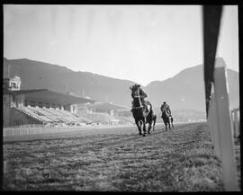 Fotografia "Esporte - Jockey" ([Local n/d] , [Data n/d]) [negativo]. / Fotógrafo(a): Ernani Contursi.  -- ITEM-0008.