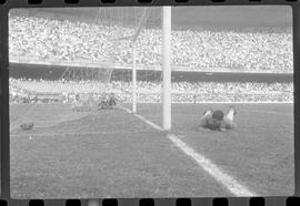 Fotografia "Jogos Campeonato Carioca; 'CAMPEONATO CARIOCA DE 1963' de PROFISSIONAIS (1º Turno) Jogos Vasco x Fluminense (3 x 1) Botafogo x Canto do Rio (3 x 0) America x Madureira (5 x 2) e Olaria x Portuguesa, Reportagem de Esporte" ([Local n/d] , 1963) [negativo]. / Fotógrafo(a): Equipe.  -- ITEM-0194.