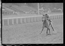 Fotografia "SWEEPSTAKE' Reportagem no Hip. Gávea, Grande Prêmio Brasil (Aprontos dos cavalos, 'Sing-Sing', 'Atramo', 'Cencerro' e 'Semillon' com vistas ao G.P. Brasil de 1963', Reportagem de Wilson Nascimento" ([Local n/d] , 1963) [negativo]. / Fotógrafo(a): Rodolpho.  -- ITEM-0001.