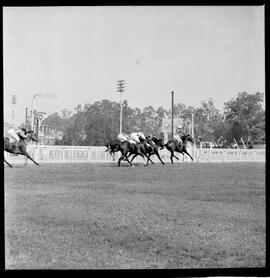 Fotografia "2 GRANDE PRÊMIO 'DOUTOR FRONTIN' TURF (Vendedor o cavalo 'Atramo' pilotado pelo jouqie [jóquei] Manoel Silva)" ([Local n/d] , 1963) [negativo]. / Fotógrafo(a): Alvaro.  -- ITEM-0003.