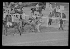 Fotografia "SWEEPSTAKE' Reportagem no Hip. Gávea, Grande Prêmio Brasil (Aprontos dos cavalos, 'Sing-Sing', 'Atramo', 'Cencerro' e 'Semillon' com vistas ao G.P. Brasil de 1963', Reportagem de Wilson Nascimento" ([Local n/d] , 1963) [negativo]. / Fotógrafo(a): Rodolpho.  -- ITEM-0018.