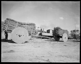 Fotografia "Açúcar. Falta de transporte em Campos, Estado do Rio" ([Local n/d] , [Data n/d]) [negativo]. / Fotógrafo(a): José Casal.  -- ITEM-0002.