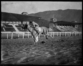 Fotografia "Esporte - Jockey" ([Local n/d] , [Data n/d]) [negativo]. / Fotógrafo(a): Ernani Contursi.  -- ITEM-0002.