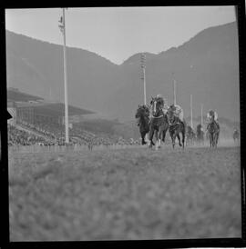 Fotografia "Turf. Hipódromo da Gávea; 'TURFE' Reportagem e Turf, no Hipódromo da Gávea (Carreiras e Daniel Fontoura, repórter de turfe de UH com turfistas), Reportagem de Wilson Nascimento" ([Local n/d] , 1963) [negativo]. / Fotógrafo(a): Diniz.  -- ITEM-0006.