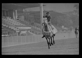 Fotografia "SWEEPSTAKE' Reportagem no Hip. Gávea, Grande Prêmio Brasil (Aprontos dos cavalos, 'Sing-Sing', 'Atramo', 'Cencerro' e 'Semillon' com vistas ao G.P. Brasil de 1963', Reportagem de Wilson Nascimento" ([Local n/d] , 1963) [negativo]. / Fotógrafo(a): Rodolpho.  -- ITEM-0011.