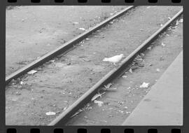 Fotografia "GREVE DOS FERROVIÁRIOS DA LEOPOLDINA' Greve na Leopoldina (Reportagem e uma pombinha na linha Férrea), Reportagem de Cid King" ([Local n/d] , 1963) [negativo]. / Fotógrafo(a): Adyr Vieira.  -- ITEM-0006.