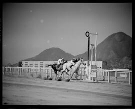 Fotografia "Esportes - Jockey Clube" ([Local n/d] , [Data n/d]) [negativo]. / Fotógrafo(a): [Autoria n/d].  -- ITEM-0002.