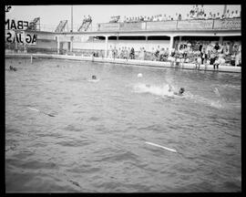 Fotografia "Natação e Water Polo" ([Local n/d] , [Data n/d]) [negativo]. / Fotógrafo(a): Jankiel.  -- ITEM-0003.