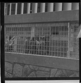 Fotografia "Chegada de Helio [Fernandes]; 'HELIO FERNANDES' Chegada de Helio Fernandes no Aeroporto) (VIDE PAPELETA DO FOTÓGRAFO FERREIRA), Reportagem de Carlos Areias" ([Local n/d] , 1963) [negativo]. / Fotógrafo(a): Ferreira.  -- ITEM-0003.