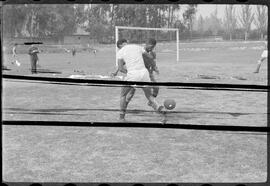 Fotografia "Futebol, treino do Selecionado Brasileiro no Chile" ([Local n/d] , [Data n/d]) [negativo]. / Fotógrafo(a): [Autoria n/d].  -- ITEM-0035.