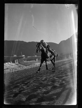 Fotografia "Esportes - Jockey Clube" ([Local n/d] , [Data n/d]) [negativo]. / Fotógrafo(a): [Autoria n/d].  -- ITEM-0005.