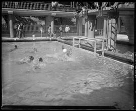 Fotografia "Water Polo - R.J. (Campeonato Carioca - 1951). Fluminense x Guanabara, Esportes" ([Local n/d] , 1951) [negativo]. / Fotógrafo(a): Equipe.  -- ITEM-0001.