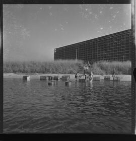 Fotografia "VIÚVA NEGRA'; INSETOS _ 'Viuva Negra (aranha)' - FAB e outras autoridades na Ilha do Governador vão dar caça e exterminar as Aranhas 'Viuvas [Viúvas] Negras'" ([Local n/d] , 1961) [negativo]. / Fotógrafo(a): L. SANTOS.  -- ITEM-0012.