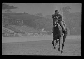 Fotografia "SWEEPSTAKE' Reportagem no Hip. Gávea, Grande Prêmio Brasil (Aprontos dos cavalos, 'Sing-Sing', 'Atramo', 'Cencerro' e 'Semillon' com vistas ao G.P. Brasil de 1963', Reportagem de Wilson Nascimento" ([Local n/d] , 1963) [negativo]. / Fotógrafo(a): Rodolpho.  -- ITEM-0012.