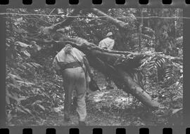 Fotografia "DESAPARECIMENTO DO MÉDICO NO PICO DE PAPAGAIO Família perdida na mata (Dr. Newto Batista dos Santos, que estava desaparecido com seus filhos Caio Cesar e Lia Lucia no Pico de Papagaio)" ([Local n/d] , 1963) [negativo]. / Fotógrafo(a): Adyr; Rodolpho.  -- ITEM-0010.