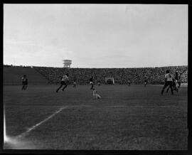 Fotografia "Futebol - Flamengo (jogo) (fato pitoresco - cãozinho em campo)" ([Local n/d] , [Data n/d]) [negativo]. / Fotógrafo(a): [Autoria n/d].  -- ITEM-0001.