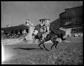 Fotografia "Esporte - Jockey" ([Local n/d] , [Data n/d]) [negativo]. / Fotógrafo(a): Ernani Contursi.  -- ITEM-0004.