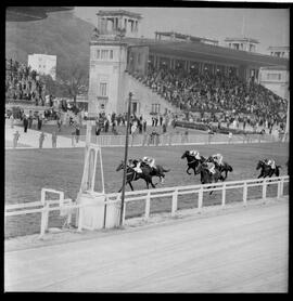 Fotografia "2 GRANDE PRÊMIO 'DOUTOR FRONTIN' TURF (Vendedor o cavalo 'Atramo' pilotado pelo jouqie [jóquei] Manoel Silva)" ([Local n/d] , 1963) [negativo]. / Fotógrafo(a): Alvaro.  -- ITEM-0004.