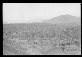 Fotografia "Rep. pelo SUL DO BRASIL (ESPECIAL); 'REPORTAGEM ESPECIAL DE 'UH' 'CONTRABANDO DE ARMAS, Em S. PAULO, SANTA CATARINA, RIO GRANDE DO SUL ETC...' Reportagem feita pela equipe de 'UH'), Reportagem de Amado Ribeiro" ([Local n/d] , 1963) [negativo]. / Fotógrafo(a): Paulo Reis.  -- ITEM-0069.