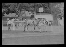 Fotografia "SWEEPSTAKE' Reportagem no Hip. Gávea, Grande Prêmio Brasil (Aprontos dos cavalos, 'Sing-Sing', 'Atramo', 'Cencerro' e 'Semillon' com vistas ao G.P. Brasil de 1963', Reportagem de Wilson Nascimento" ([Local n/d] , 1963) [negativo]. / Fotógrafo(a): Rodolpho.  -- ITEM-0029.