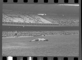 Fotografia "CAMPEONATO CARIOCA DE PROFISSIONAIS DE 1963' (1º Turno) Jogo Vasco da Gama x Olaria (1 x 0) no Maracanã" ([Local n/d] , 1963) [negativo]. / Fotógrafo(a): Demócrito; Ribeiro.  -- ITEM-0040.