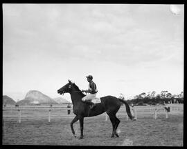 Fotografia "Turfe - Cavalos ('Loreta'), Turfe" ([Local n/d] , [Data n/d]) [negativo]. / Fotógrafo(a): Ernani Contursi.  -- ITEM-0001.