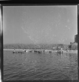 Fotografia "VIÚVA NEGRA'; INSETOS _ 'Viuva Negra (aranha)' - FAB e outras autoridades na Ilha do Governador vão dar caça e exterminar as Aranhas 'Viuvas [Viúvas] Negras'" ([Local n/d] , 1961) [negativo]. / Fotógrafo(a): L. SANTOS.  -- ITEM-0007.