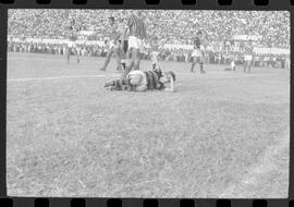 Fotografia "CAMPEONATO CARIOCA DE PROFISSIONAIS DE 1963 (1º TURNO) Jogos - Campeonato Carioca. Flamengo x Madureira (5 x 0) - Vasco x América (2 x 0) e Fluminense x Portuguesa (1 x 1). e Peter Kedzierski, homem voador dos EUA, (Vôo)" ([Local n/d] , 1963) [negativo]. / Fotógrafo(a): Equipe.  -- ITEM-0062.