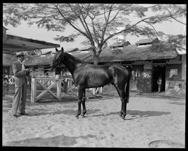 Fotografia "Esporte - Turfe, Repórter: Casal" ([Local n/d] , [Data n/d]) [negativo]. / Fotógrafo(a): [Autoria n/d].  -- ITEM-0005.