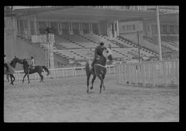 Fotografia "SWEEPSTAKE' Reportagem no Hip. Gávea, Grande Prêmio Brasil (Aprontos dos cavalos, 'Sing-Sing', 'Atramo', 'Cencerro' e 'Semillon' com vistas ao G.P. Brasil de 1963', Reportagem de Wilson Nascimento" ([Local n/d] , 1963) [negativo]. / Fotógrafo(a): Rodolpho.  -- ITEM-0025.