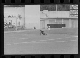 Fotografia "Campeonato Carioca de Profissionais de 63 (1° Turno) Esporte - jogo Fluminense (1 x 0) Bonsucesso" ([Local n/d] , 1963) [negativo]. / Fotógrafo(a): Democrito.  -- ITEM-0123.