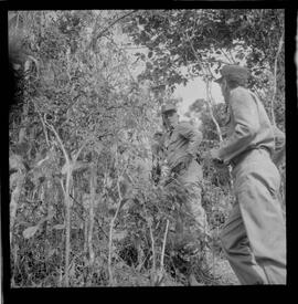 Fotografia "Manobras em Ribeirão das Lages (Paraquedistas: Sobrevivência na Selva operação); 'PARAQUEDISTAS' PARAQUEDISTAS em manobra em Ribeirão das Lages" ([Local n/d] , 1963) [negativo]. / Fotógrafo(a): Méra; Caban.  -- ITEM-0054.