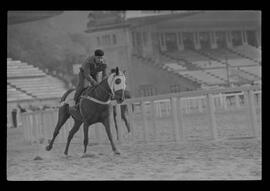 Fotografia "SWEEPSTAKE' Reportagem no Hip. Gávea, Grande Prêmio Brasil (Aprontos dos cavalos, 'Sing-Sing', 'Atramo', 'Cencerro' e 'Semillon' com vistas ao G.P. Brasil de 1963', Reportagem de Wilson Nascimento" ([Local n/d] , 1963) [negativo]. / Fotógrafo(a): Rodolpho.  -- ITEM-0026.