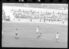 Fotografia "CAMPEONATO CARIOCA DE PROFISSIONAIS DE 1963' (1º TURNO) Jogo Botafogo x Campo Grande (2 x 0)" ([Local n/d] , 1963) [negativo]. / Fotógrafo(a): Demócrito; Ribeiro.  -- ITEM-0031.