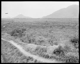 Fotografia "Reportagem sobre o sertão carioca - diversas vistas - agricultura" ([Local n/d] , [Data n/d]) [negativo]. / Fotógrafo(a): Oswaldo Matos.  -- ITEM-0015.