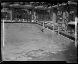 Fotografia "Water Polo - R.J. (Campeonato Carioca - 1951). Fluminense x Guanabara, Esportes" ([Local n/d] , 1951) [negativo]. / Fotógrafo(a): Equipe.  -- ITEM-0003.