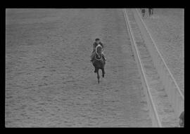 Fotografia "SWEEPSTAKE' Reportagem no Hip. Gávea, Grande Prêmio Brasil (Aprontos dos cavalos, 'Sing-Sing', 'Atramo', 'Cencerro' e 'Semillon' com vistas ao G.P. Brasil de 1963', Reportagem de Wilson Nascimento" ([Local n/d] , 1963) [negativo]. / Fotógrafo(a): Rodolpho.  -- ITEM-0020.