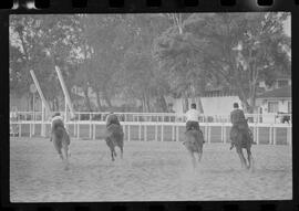 Fotografia "SWEEPSTAKE' Reportagem no Hip. Gávea, Grande Prêmio Brasil (Aprontos dos cavalos, 'Sing-Sing', 'Atramo', 'Cencerro' e 'Semillon' com vistas ao G.P. Brasil de 1963', Reportagem de Wilson Nascimento" ([Local n/d] , 1963) [negativo]. / Fotógrafo(a): Rodolpho.  -- ITEM-0036.