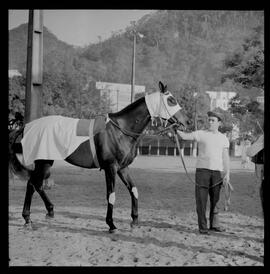 Fotografia "SWEPATAKE [SWEEPTAKE]' DE 1963' (G.P. BRASIL DE 1963) Reportagem com a Coberturas do G.P. Brasil, no Hip. da Gávea com Luiz Rigoni, Manoel Bezerra da Silva, Juan Marchant e Hector Pilar e o cavalo (CENCERRO), Reportagem de Santório" ([Local n/d] , 1963) [negativo]. / Fotógrafo(a): Diniz.  -- ITEM-0007.