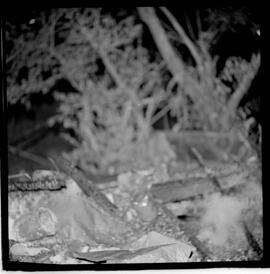 Fotografia "C/ Mattos Incêndio na Favela do Morro da entrada do Tunel Novo; 'INCÊNDIOS' Incêndio na Favela do Túnel novo de Copacabana" ([Local n/d] , 1963) [negativo]. / Fotógrafo(a): Roberto.  -- ITEM-0002.